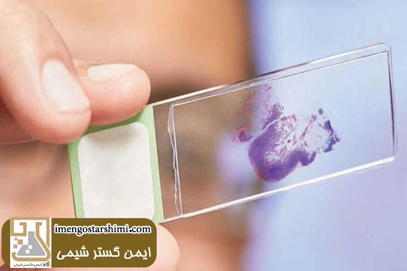 قیمت لام آزمایشگاهی